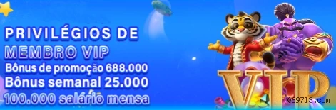 Programa VIP 0697